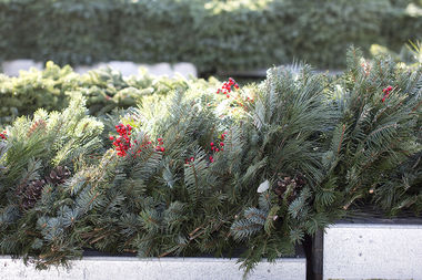 holiday greenery
